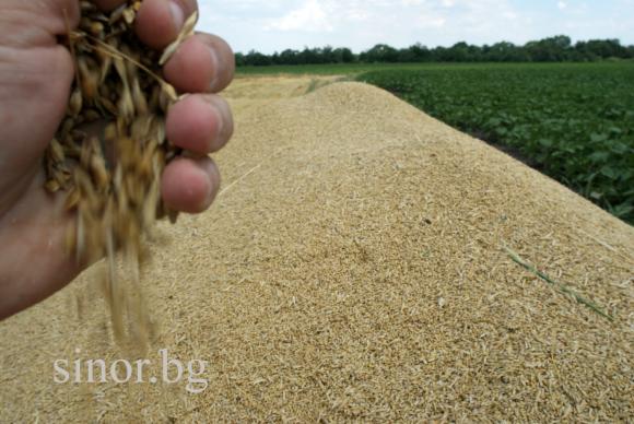 Египет напуска Конвенцията за търговия със зърно в края на юни