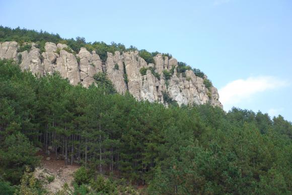 WWF се стреми да върне риса обратно в българската гора