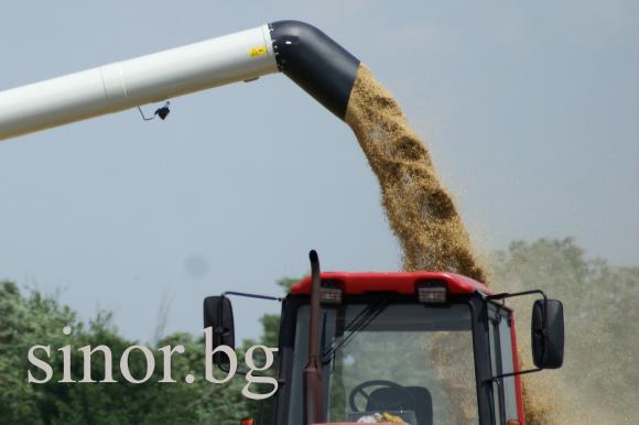 Дикме: Държавата можеше с интервенция да спаси зърнопроизводителите!