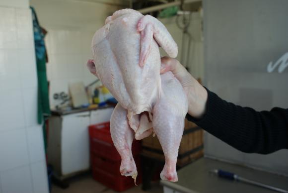Германия одобри наредба за етикиране на непакетирано прясно, охладено или замразено свинско, овче, козе и птиче месо