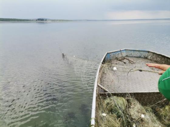 Извадиха поредните над километър бракониерски мрежи от бургаско езеро