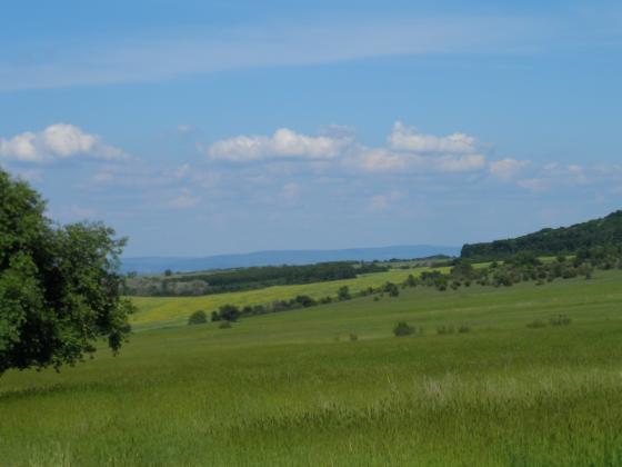 В Хърватия падна забраната за покупка на земеделски земи от граждани на ЕС