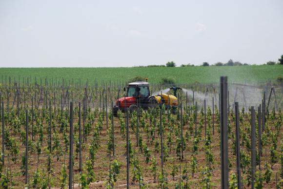 ДФЗ дава точни указания по екосхемата за възстановяване на почвите (ЕКО-ЗВПП)
