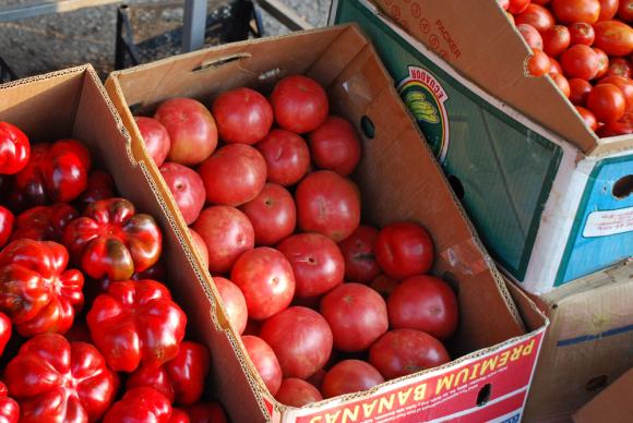 Производството на домати на открито намалява с над 67 процента