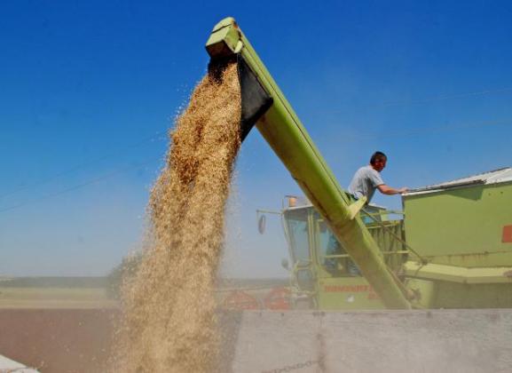 Норвегия ще трупа по 15 000 тона зърно годишно до края на десетилетието 