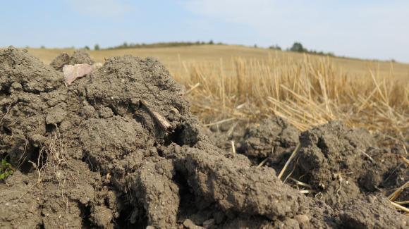 Сухата почва спъва сеитбата на есенниците в Украйна 