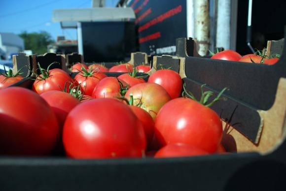 Регистраме увеличен внос в страната на домати и пипер