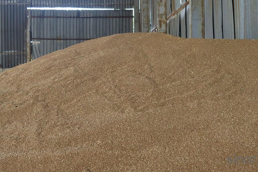 Великобритания вдигна рязко вноса и сви износа на пшеница