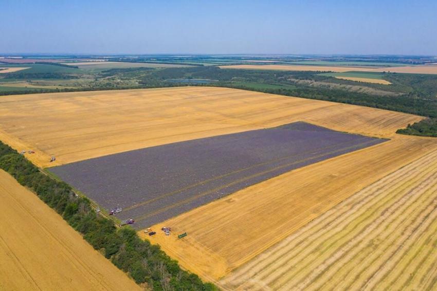 Temperaturas extremas também ameaçam campos de lava