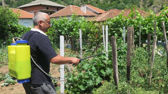 Recomendações para proteção de árvores frutíferas e arbustos no outono