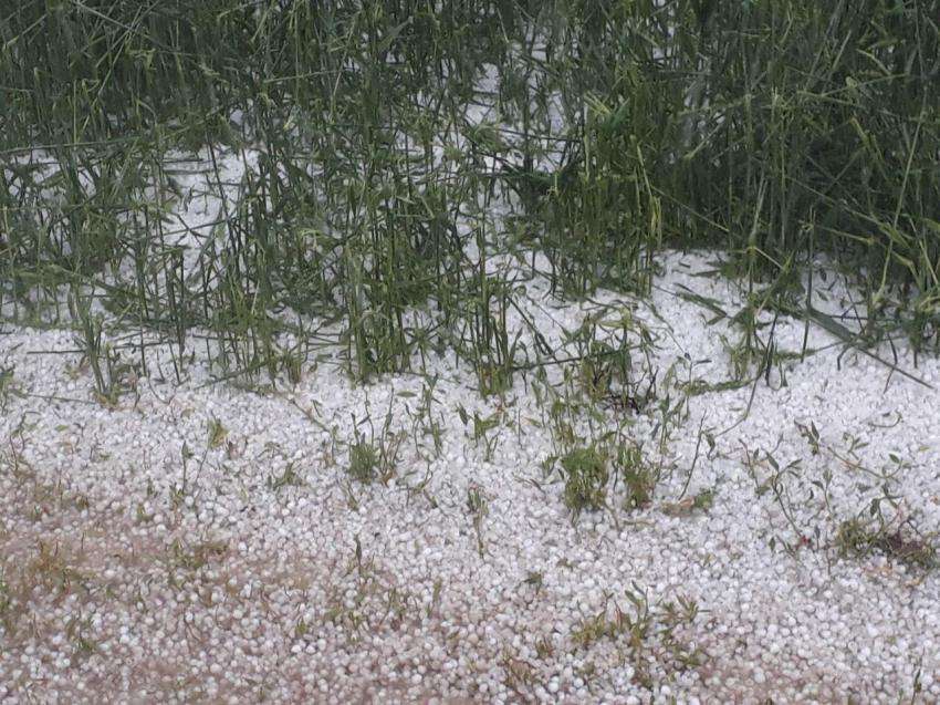 15           