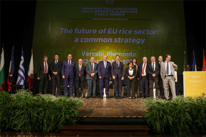   EURice Alliance          