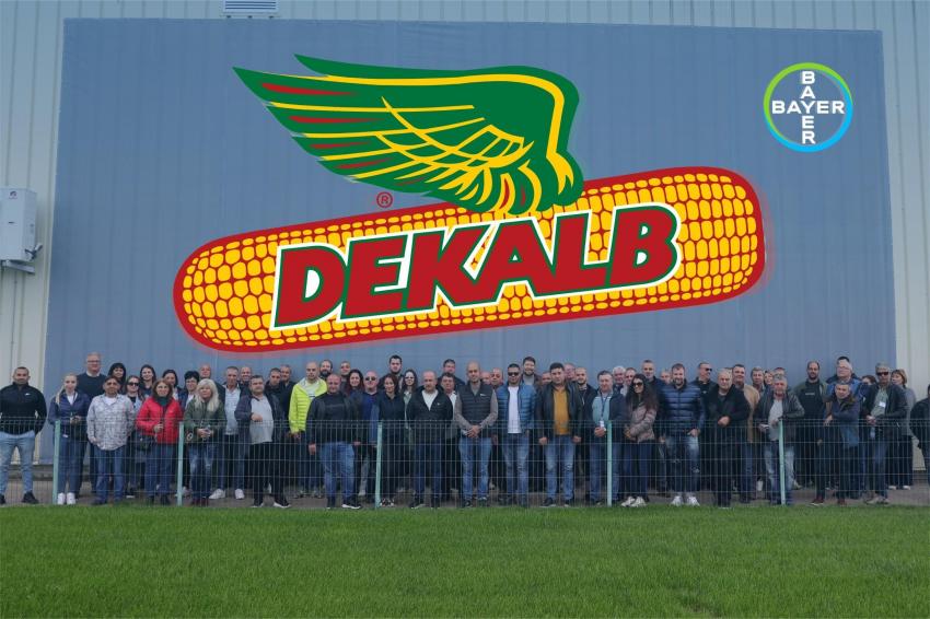   :         DEKALB  