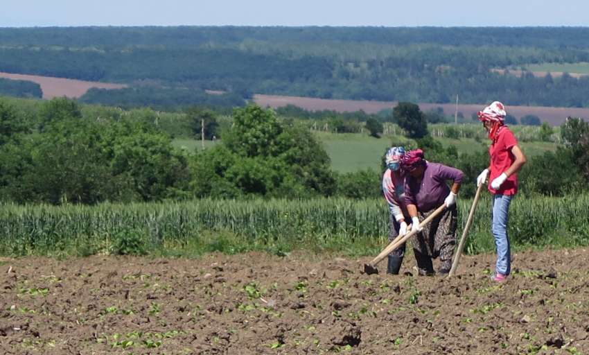 GEOPA призовава за по-силна подкрепа за земеделието на Европейската социална среща