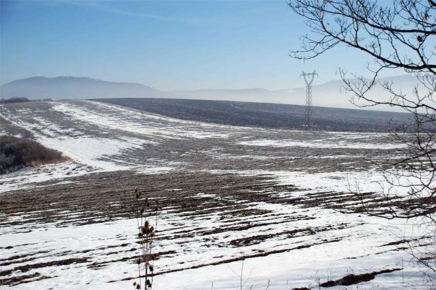 С днешното плащане компенсациите за измръзвания на турските фермери достигнаха 419 милиона евро
