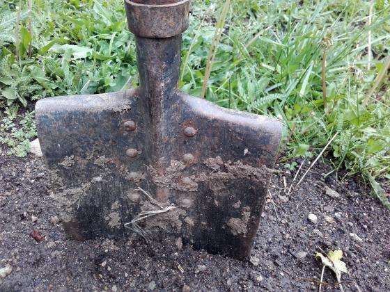 Как да подобрим почвата в оранжерията през есента