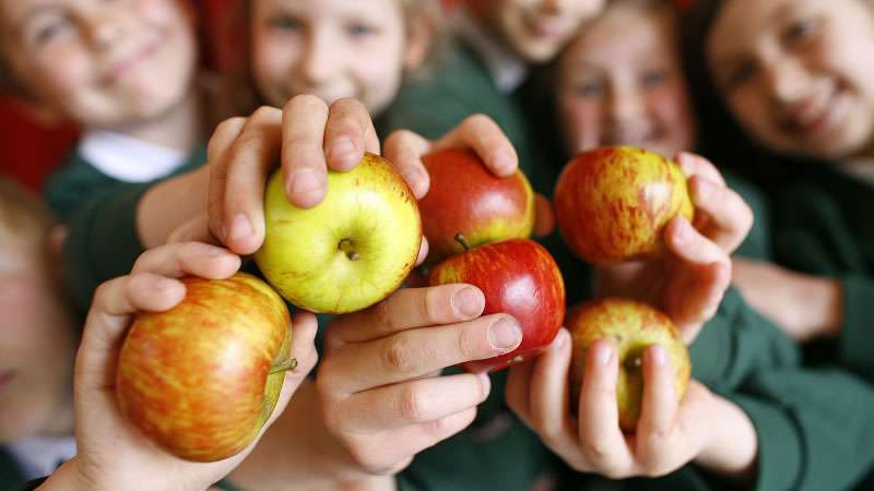 В училищните схеми био кашкавалът струва 60 лв./кг, био ябълките 6,72 лв.