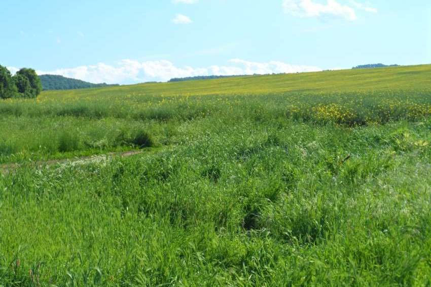 Субсидии за консервационно земеделие: критерии и точки