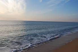 ДФЗ плати 2,2 млн. лв. по Рибарската програма, над половината са за ИАРА