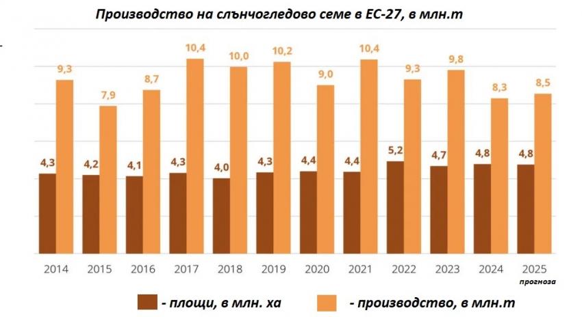 Слънчогледово семе, производство