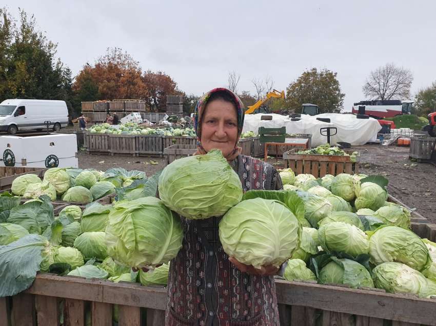    0,30 ./  ,     0,90 .  ?