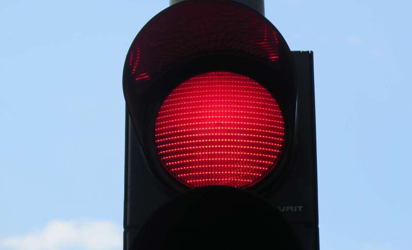 Откриха 2 трупа на сърни в багажника на колата на ловец в Монтанско