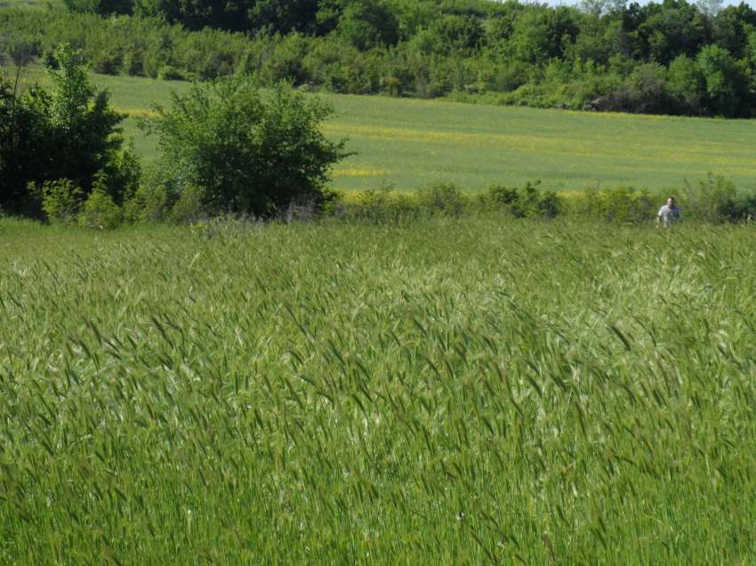 Същинският диалог за поземлената реформа май се отлага за 2026 г.