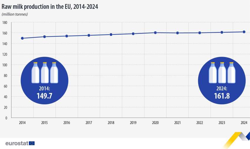 Стабилен растеж на производство на сурово мляко в ЕС
