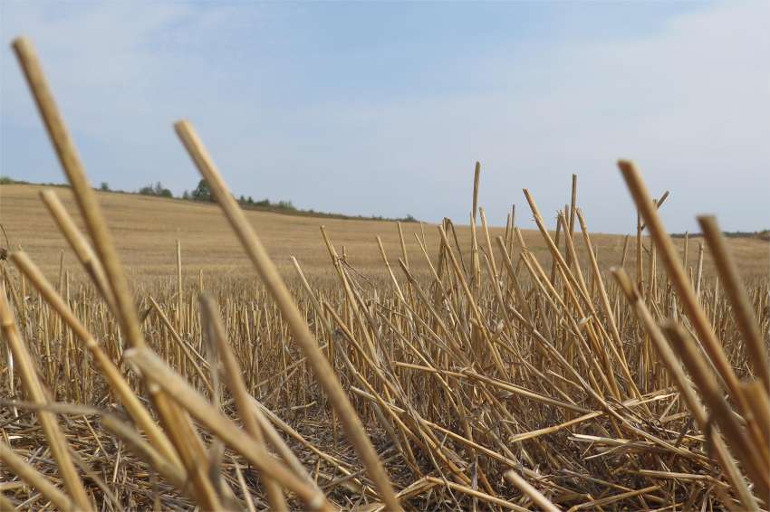 Полша подговя удължаване на забраната за продажба на държавна земя