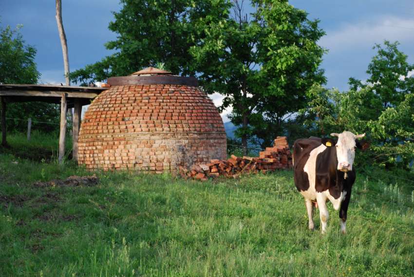 ЕК облекчава докладването за вредните емисии от фермерите