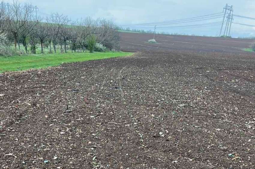 Борба с подземните нощенки – ефективни решения