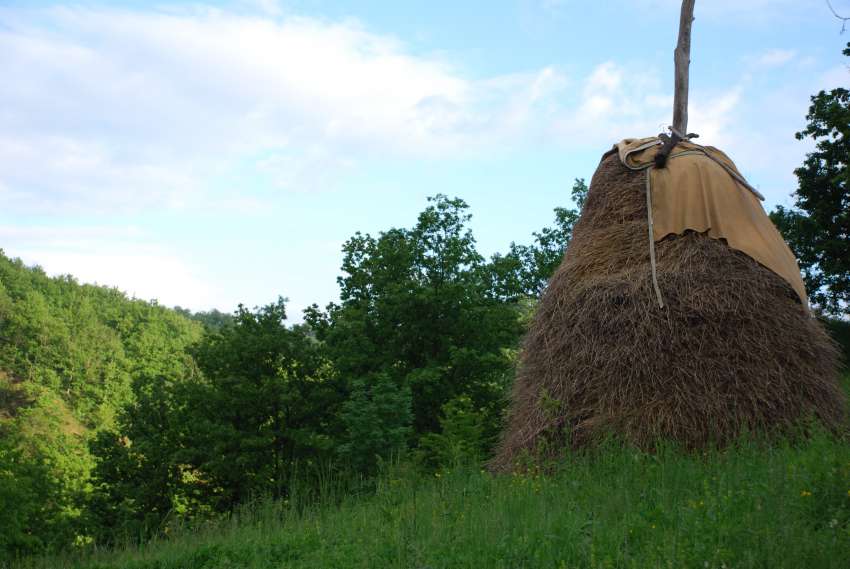 Подкрепа от 101 млн. лв. са преведени за фермери в необлагодетелстваните райони