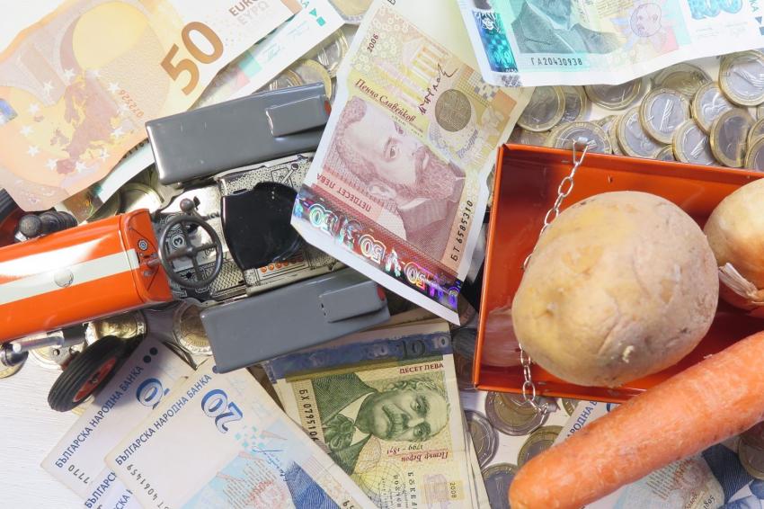 Една трета от еврофинансирането за 35 години е отишло в агросектора