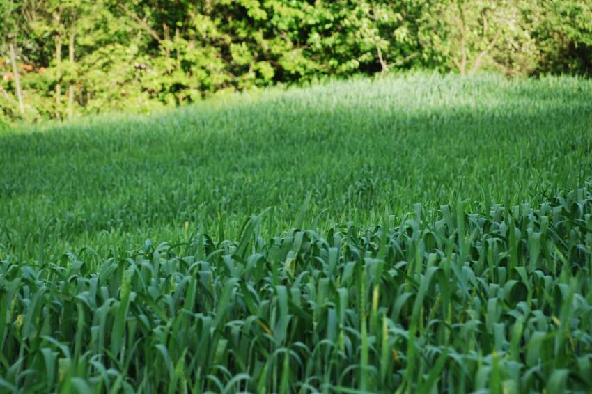 �� � ������� ������� �� ���������: ���� �������, ������ ���� �� ������� ���������������� �� ���� 2026 ������