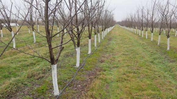 Ïðåâåäåíè ñà ñóáñèäèèòå çà áèî ðàñòåíèåâúäè – óòâúðäåíè è â ïðåõîä