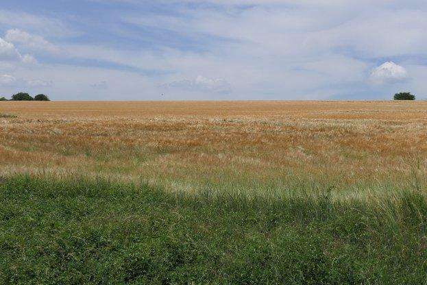 �������� �� �� �� 2035 �.: ������ �� ��������� ������� �� ������ ������� � 1,7 �� ���