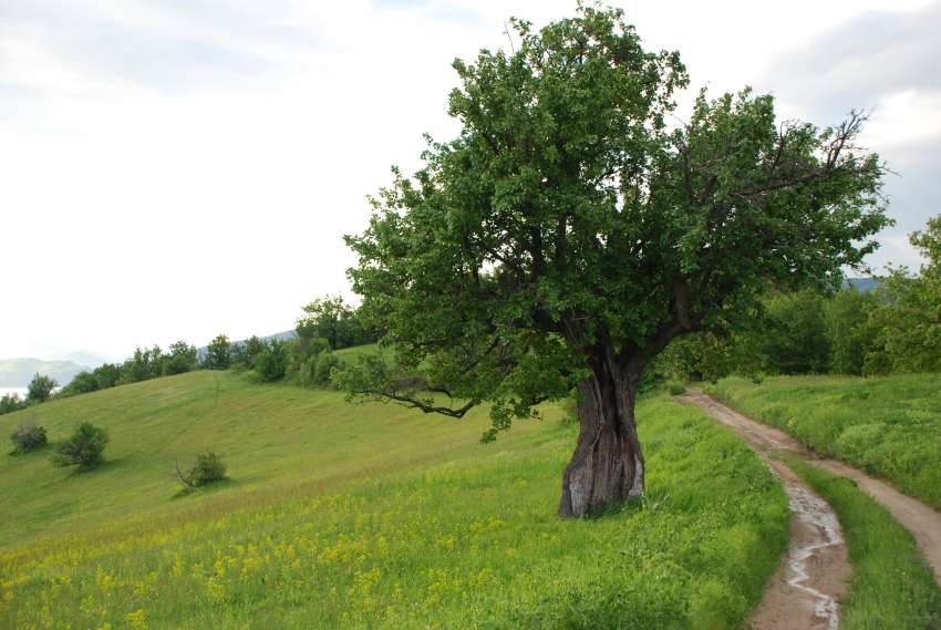 �� 1 ��������� 2026 �. �������� ������ �� ��� ���� ��  �������������� �� ��������� 