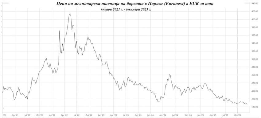 ���� �������