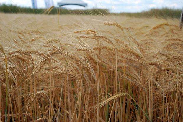 �������� ��� ������ ���� ���������� �� ���������� ������� ������ 