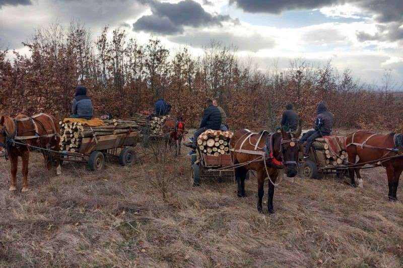 Задържаха 4 каруци с незаконни дърва за огрев в землището на Угърчин