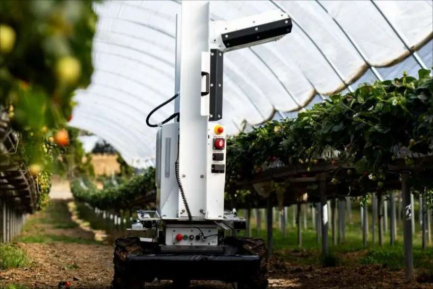 ���������������� ���� �� ������ Valera CUBE ��������� ������ �� ��������