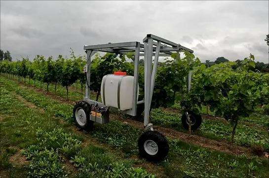 ����� ����� ����