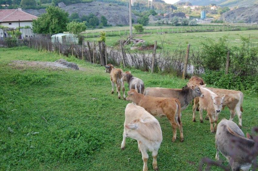 �������� � ���������������� ��������� �������� �� ��������� � �������