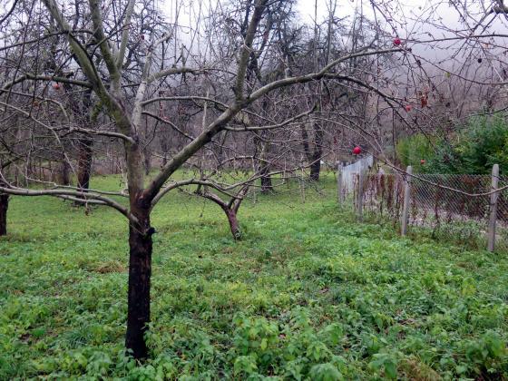 ������ �� ������� ������ �� ������� � ��� ��� �� ������ ���������