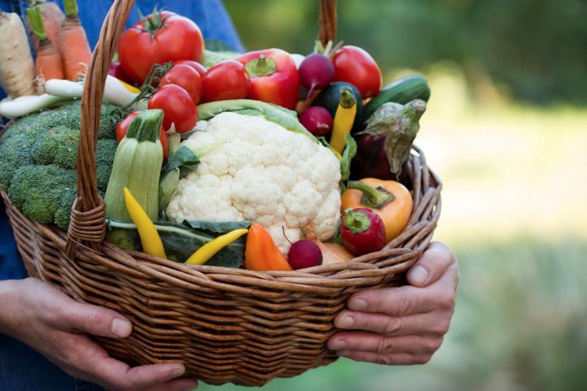 ������������� ���������� �� ������� ���� 2025-�� � ���� �������� ��� ��� ������ ���