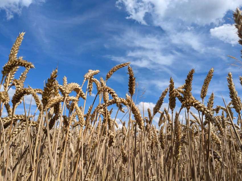 ����� ������ �� ������������ ���� ���� 500 000 ���� ������ ������� 