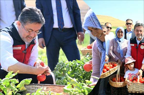 � ����� ������ ����� ��� 33 ������� ���� ����������� �� ���������