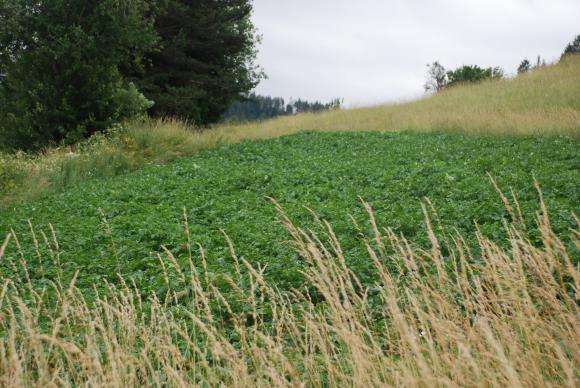 ����� ���� �� ����������� ������� �� 5 ������ � ���, ������ � �����