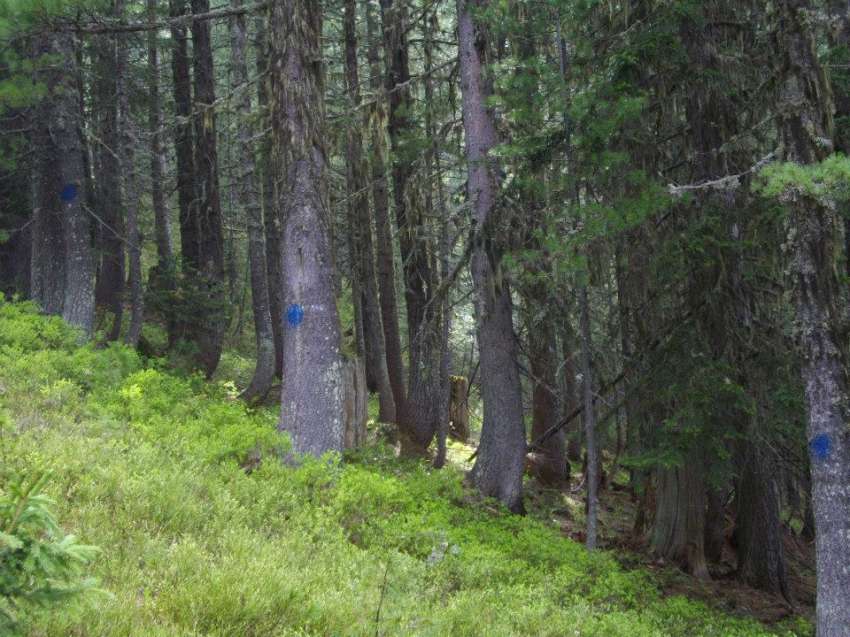 ���� � ������������ �� ���� ���� ���� 2023-� � 2024 ������