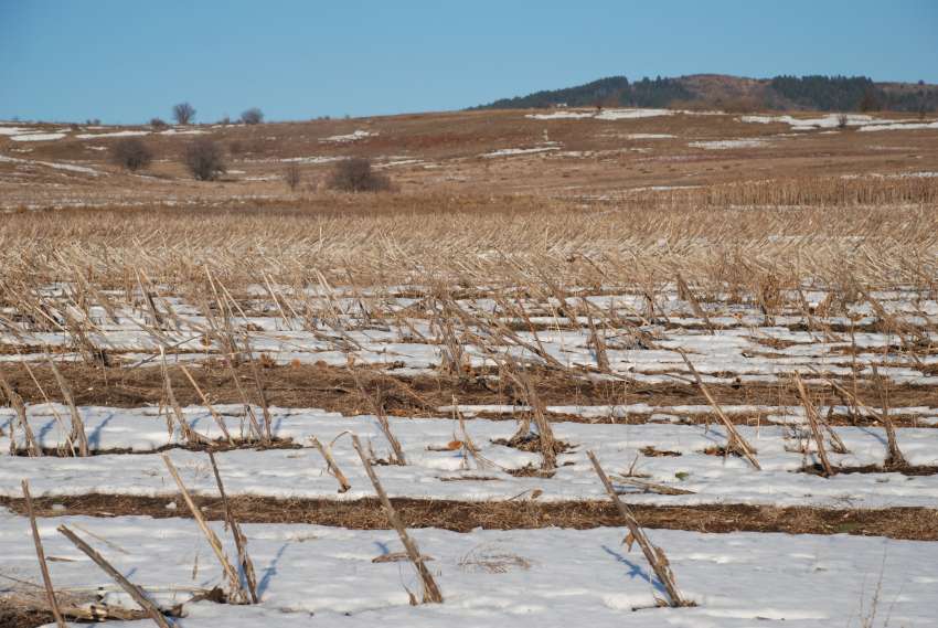 Агенцията по кадастър въведе онлайн записване на часове в услуга на бизнеса